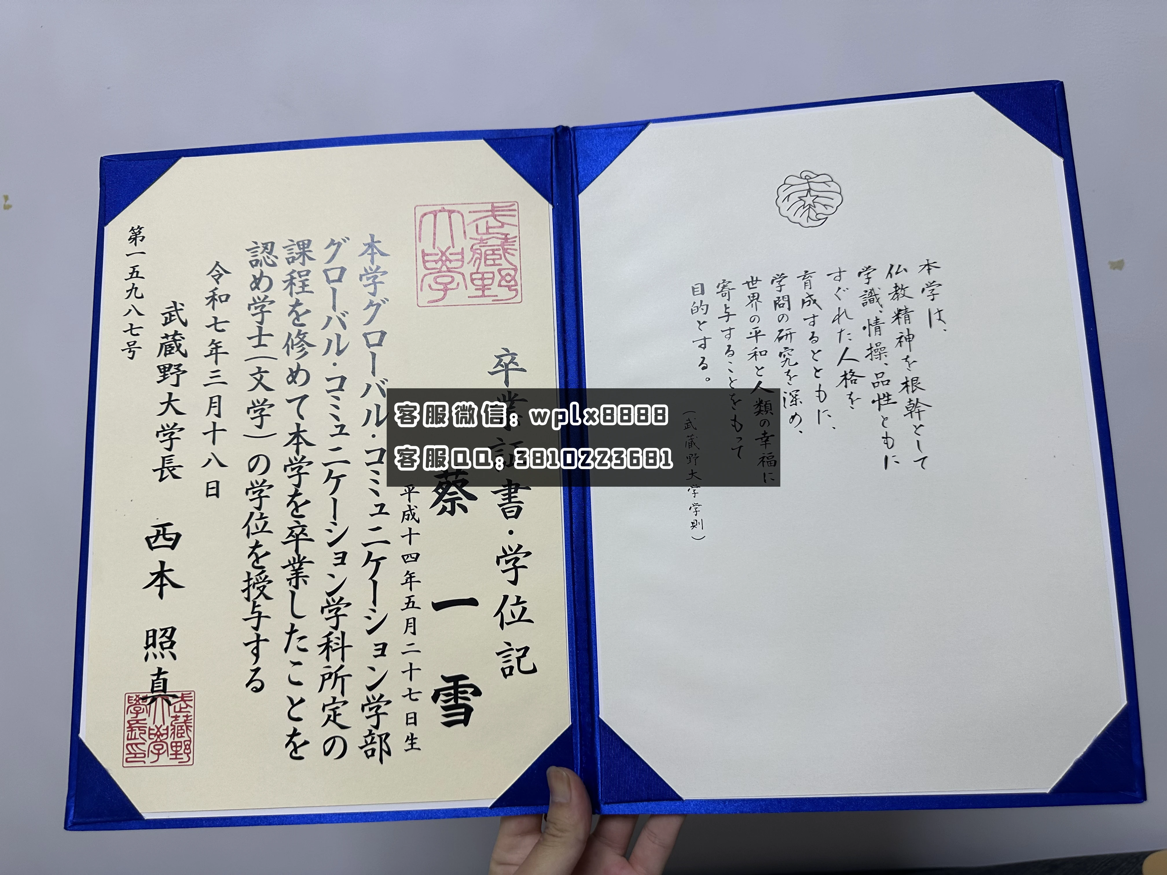 日本武藏野大学c