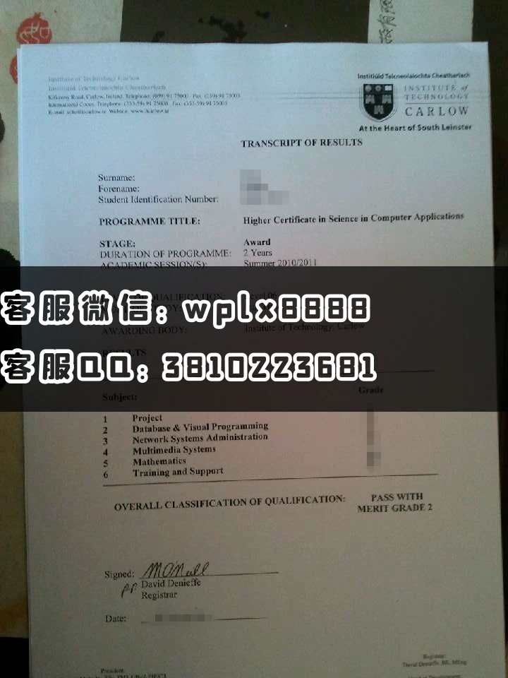 爱尔兰卡罗理工大学成绩单 (2)