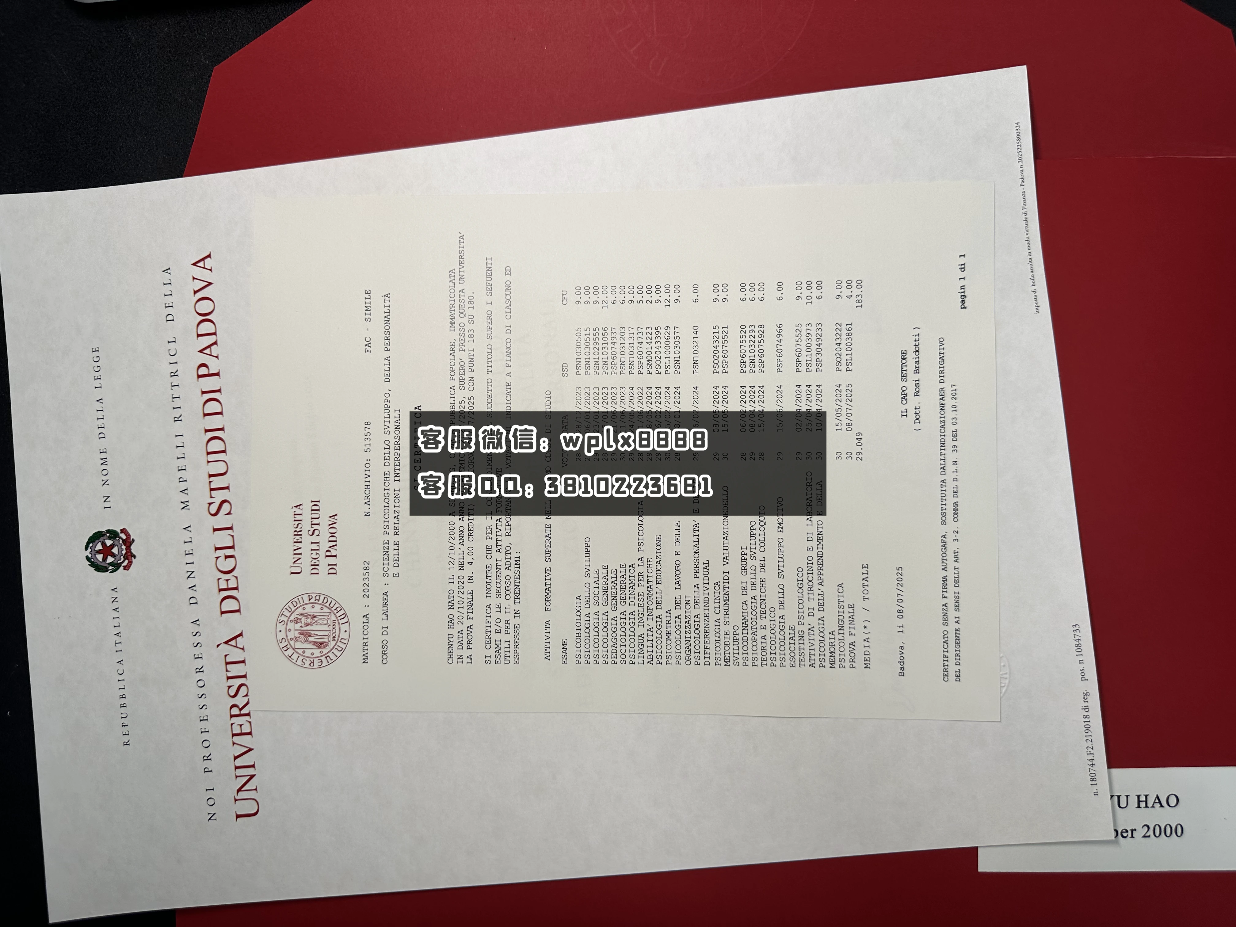 意大利帕多瓦大学t