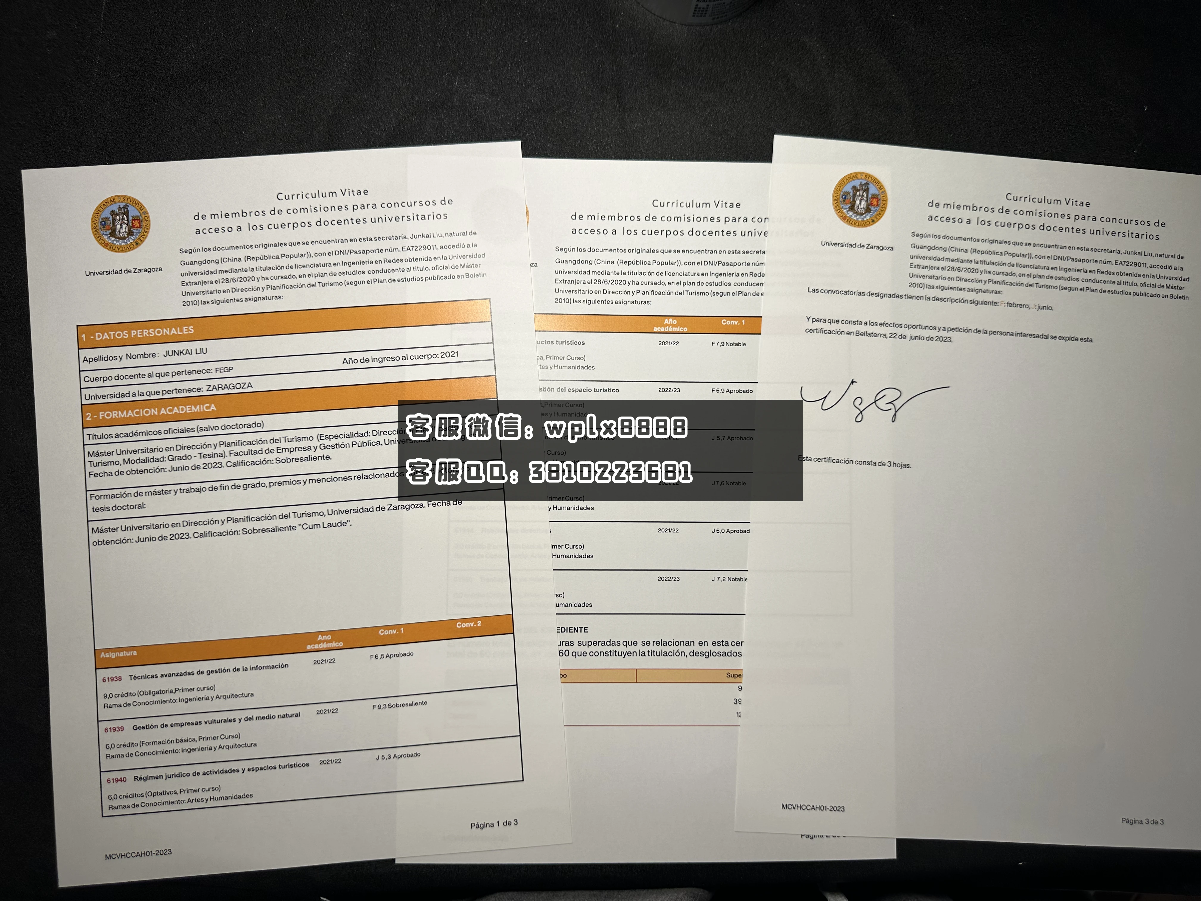 西班牙萨拉戈萨大学成绩单