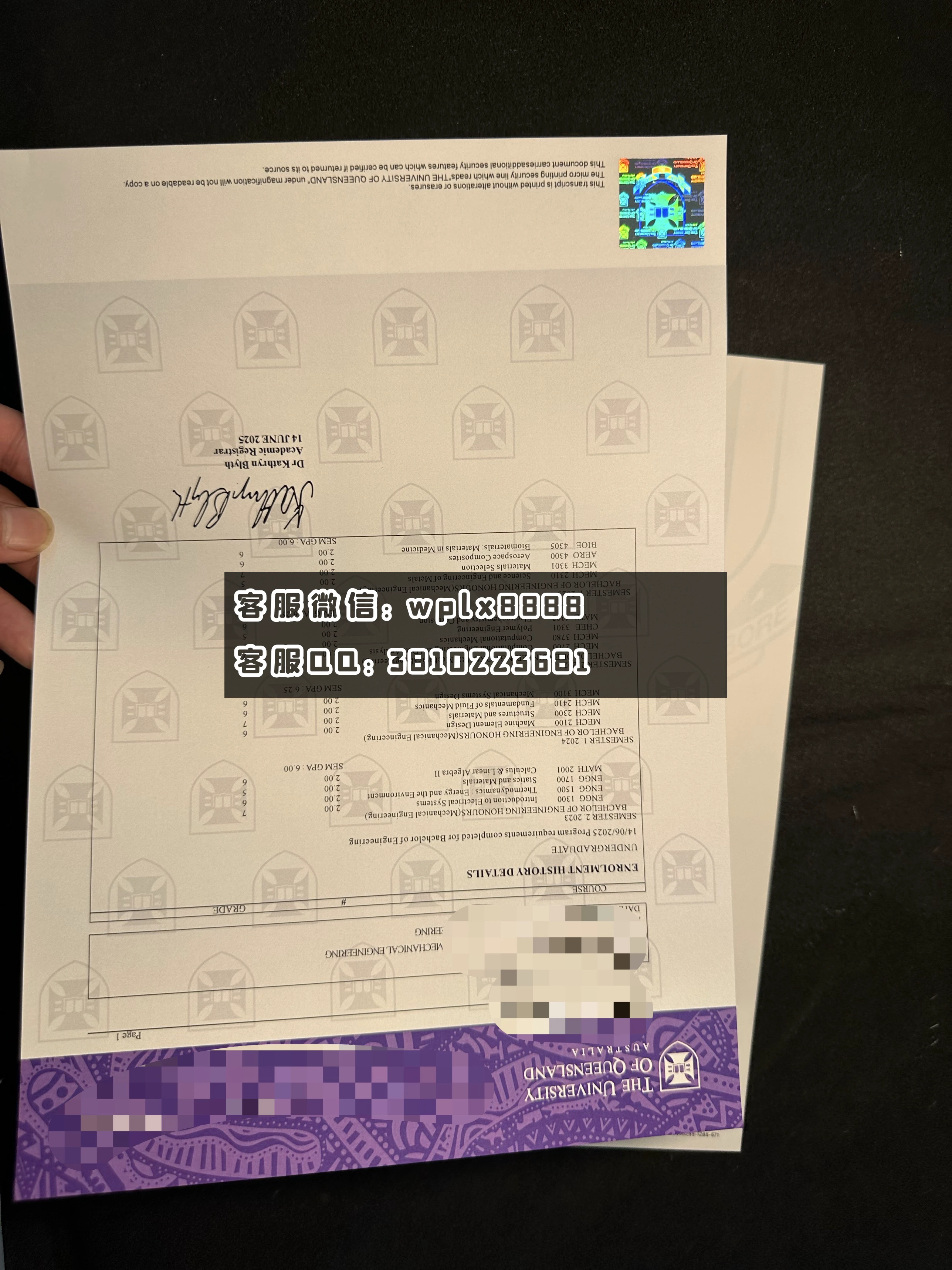 昆士兰大学新版T