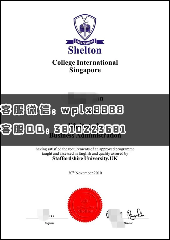 新加坡沙顿大学学院 (2)_副本