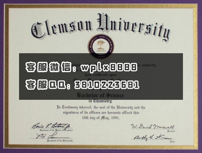 克莱姆森大学clemson university