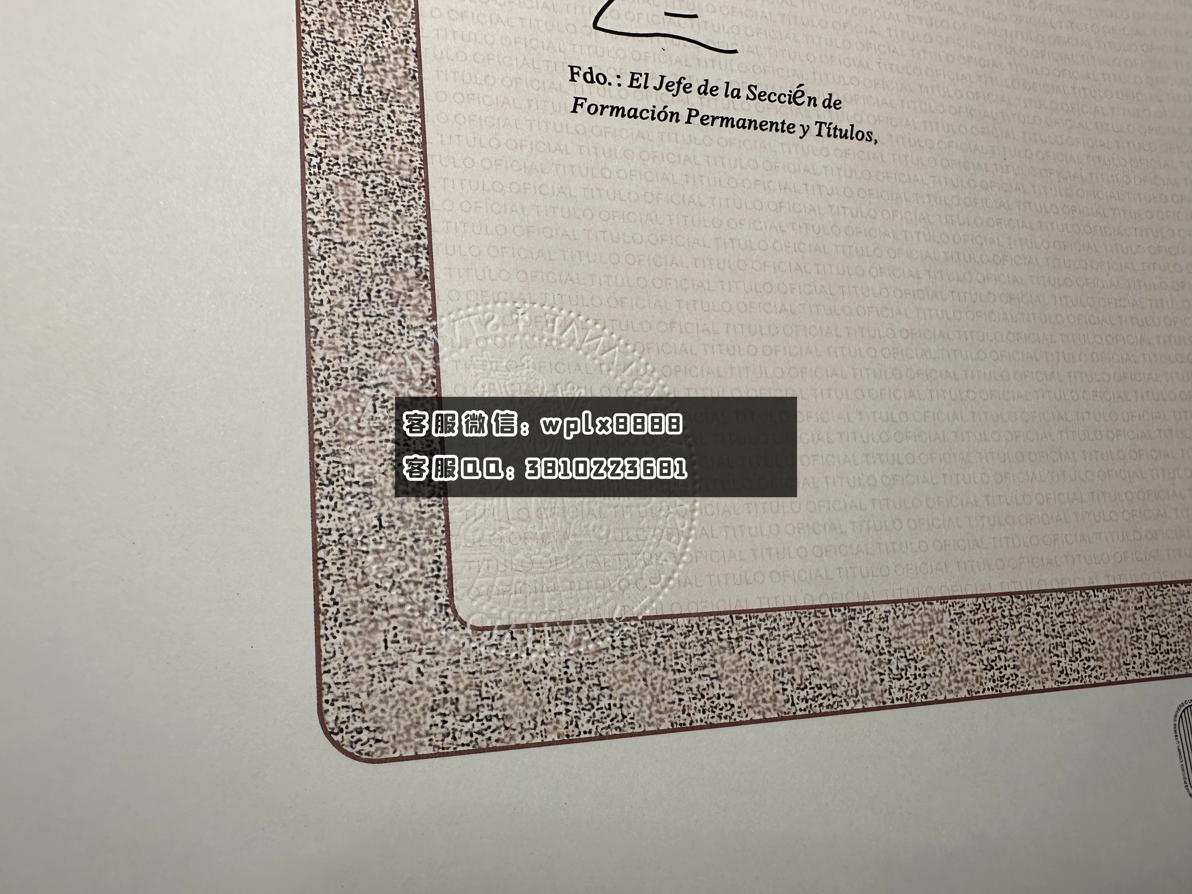 西班牙萨拉戈萨大学钢印1