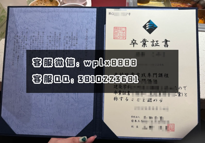 日本八王子专门学校