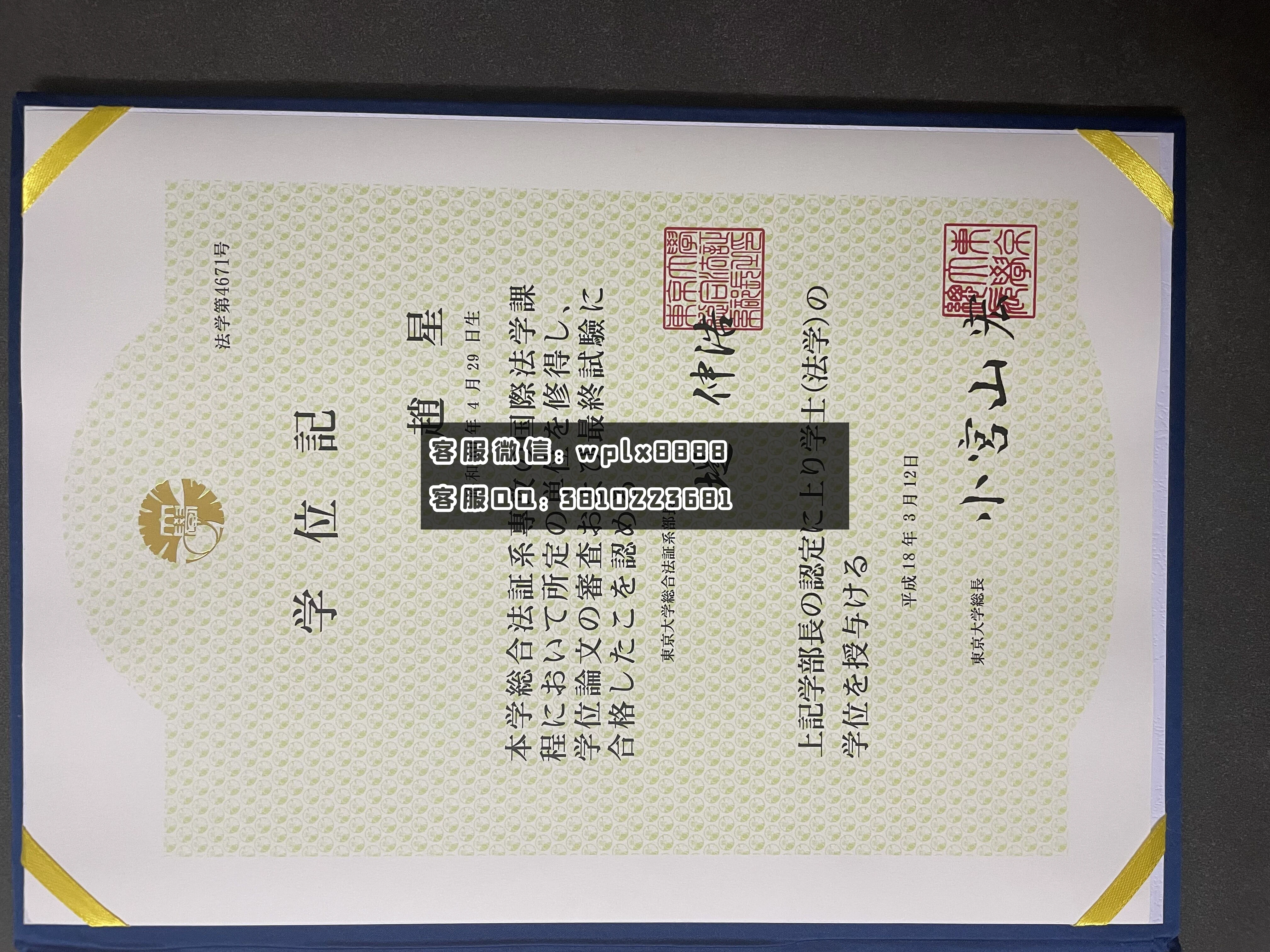 日本东京大学毕业证-学士本科样本  成品1