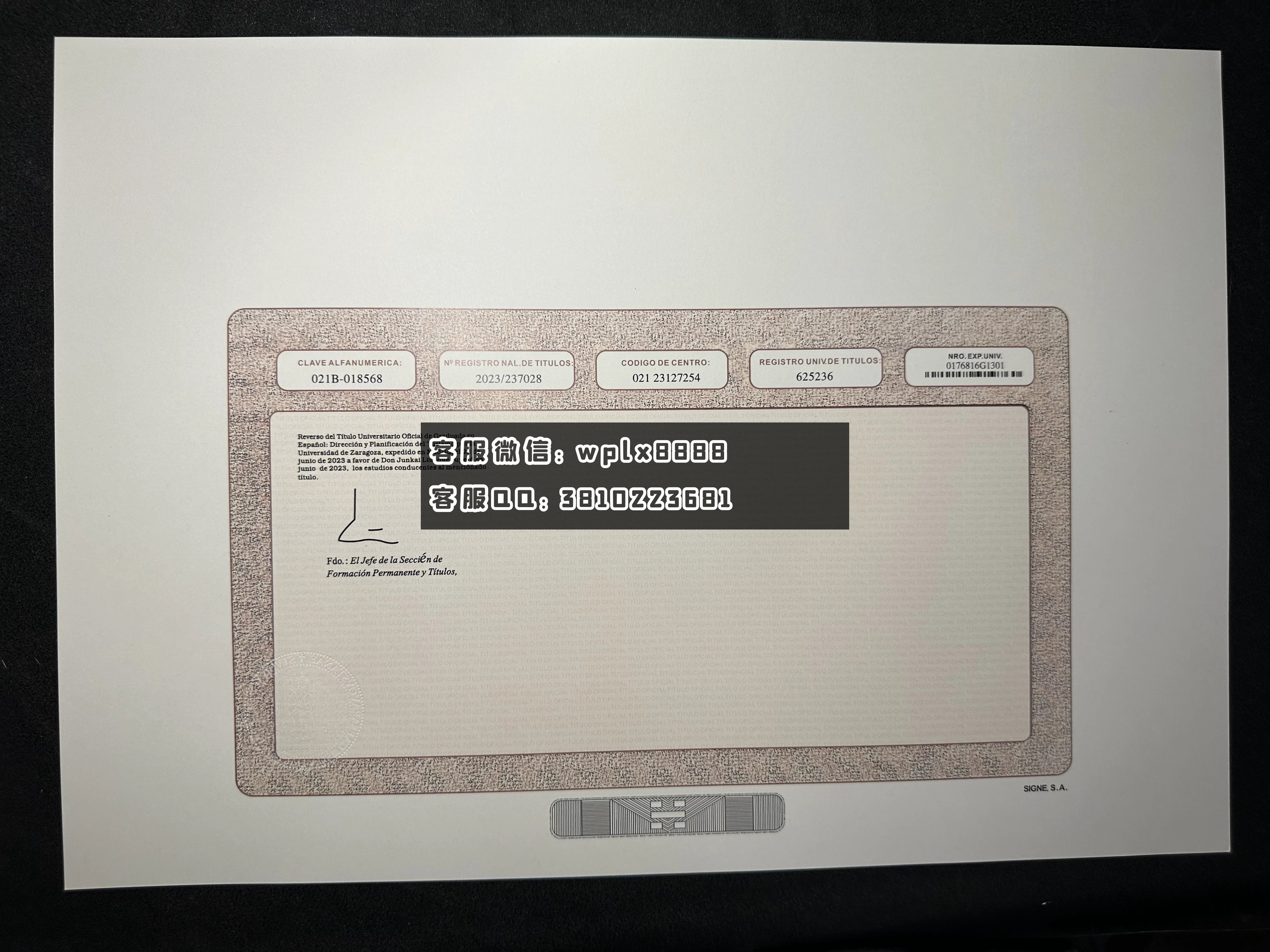 西班牙萨拉戈萨大学反面