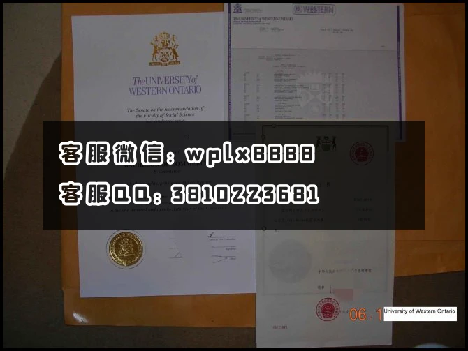 西安大略大学University of Western Ontario_副本