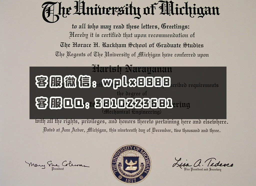 美国密西根大学the university of michigan