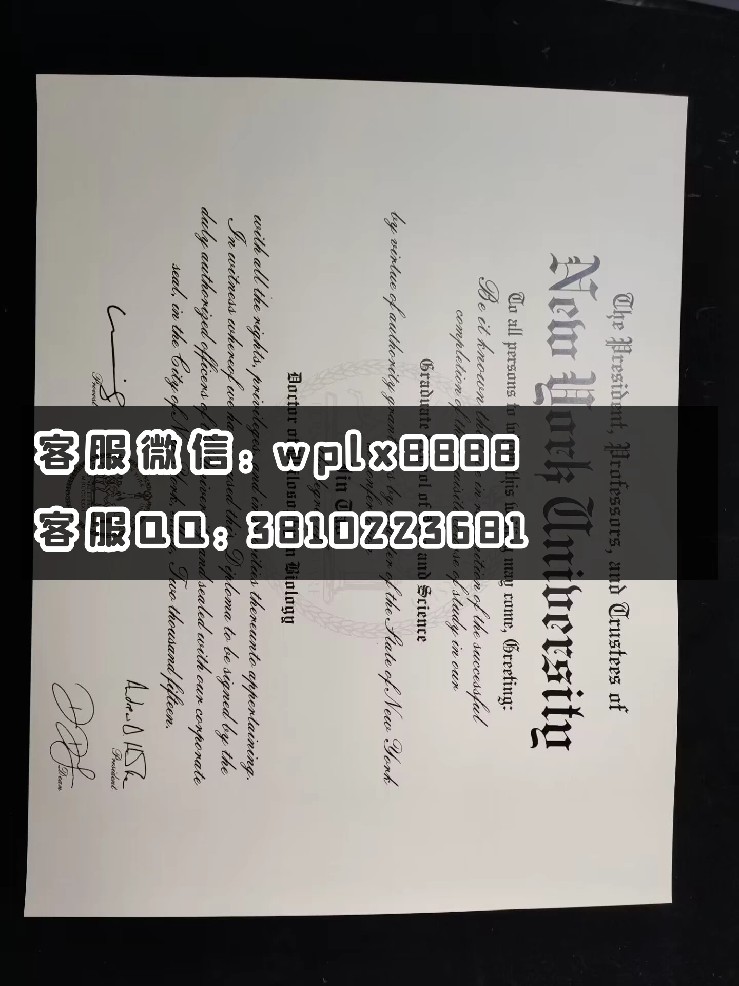 美国纽约大学毕业证  成品