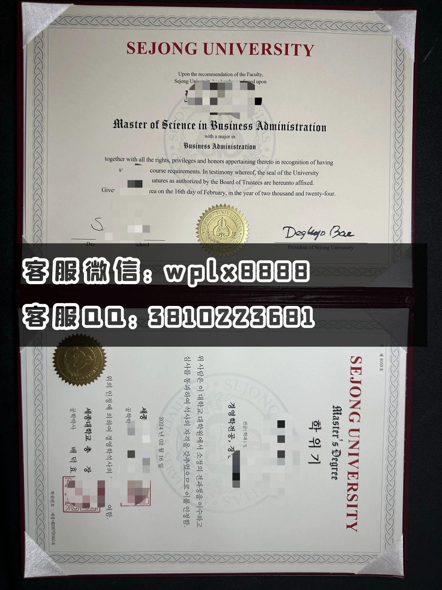 韩国世宗大学双板硕士