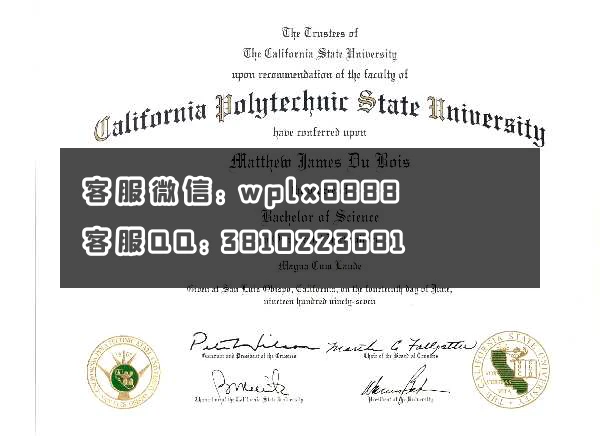 加州州立理工大学  california polytechnic state university 