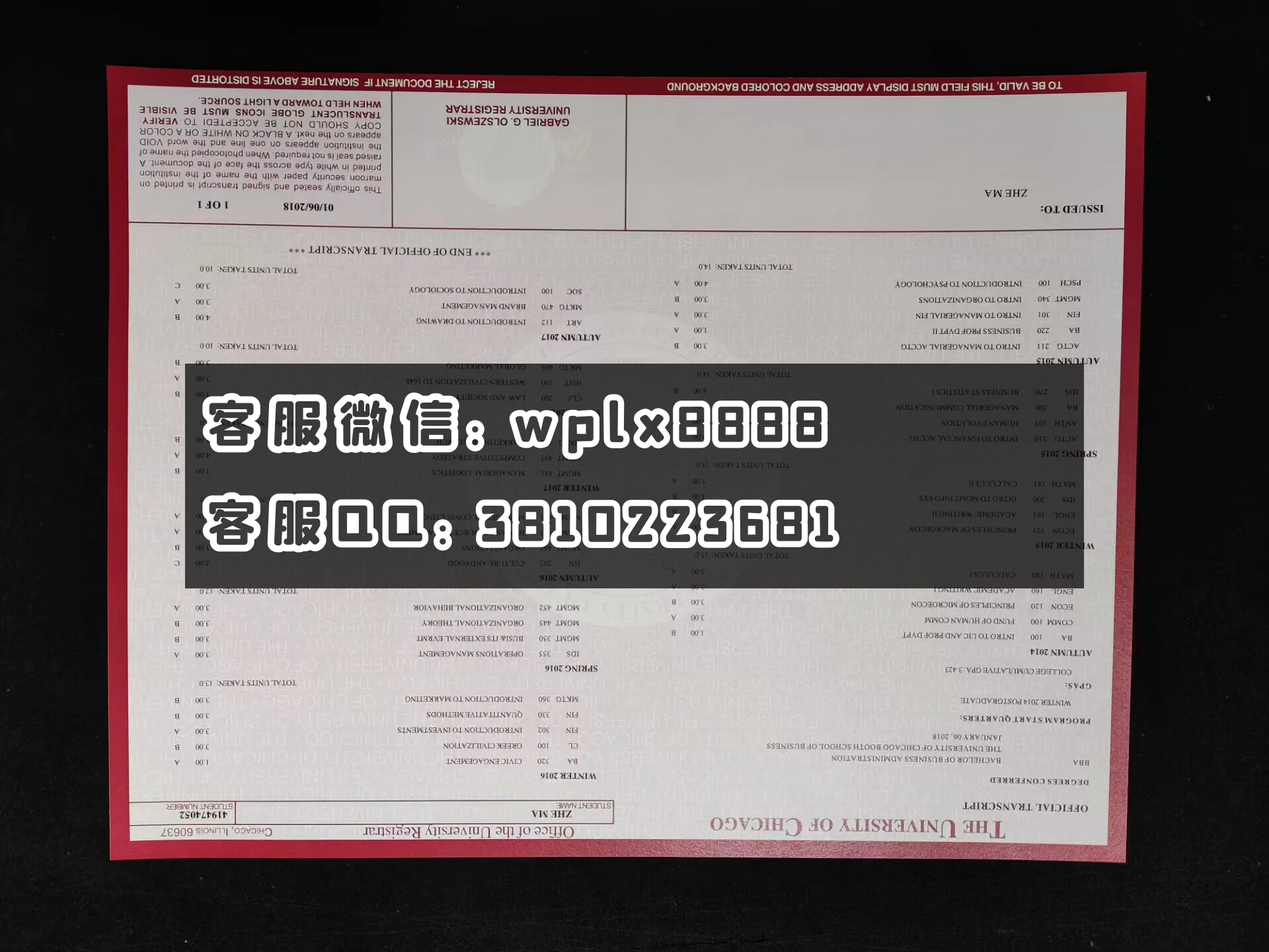 美国芝加哥大学成绩单 成品1