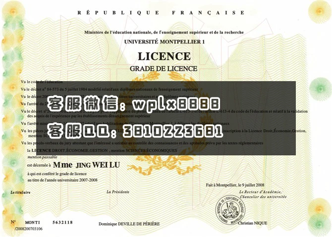 法国蒙比利埃一大