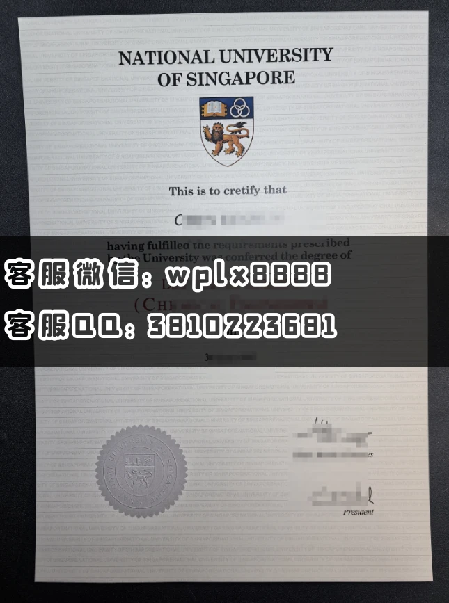 新加坡国立大学C