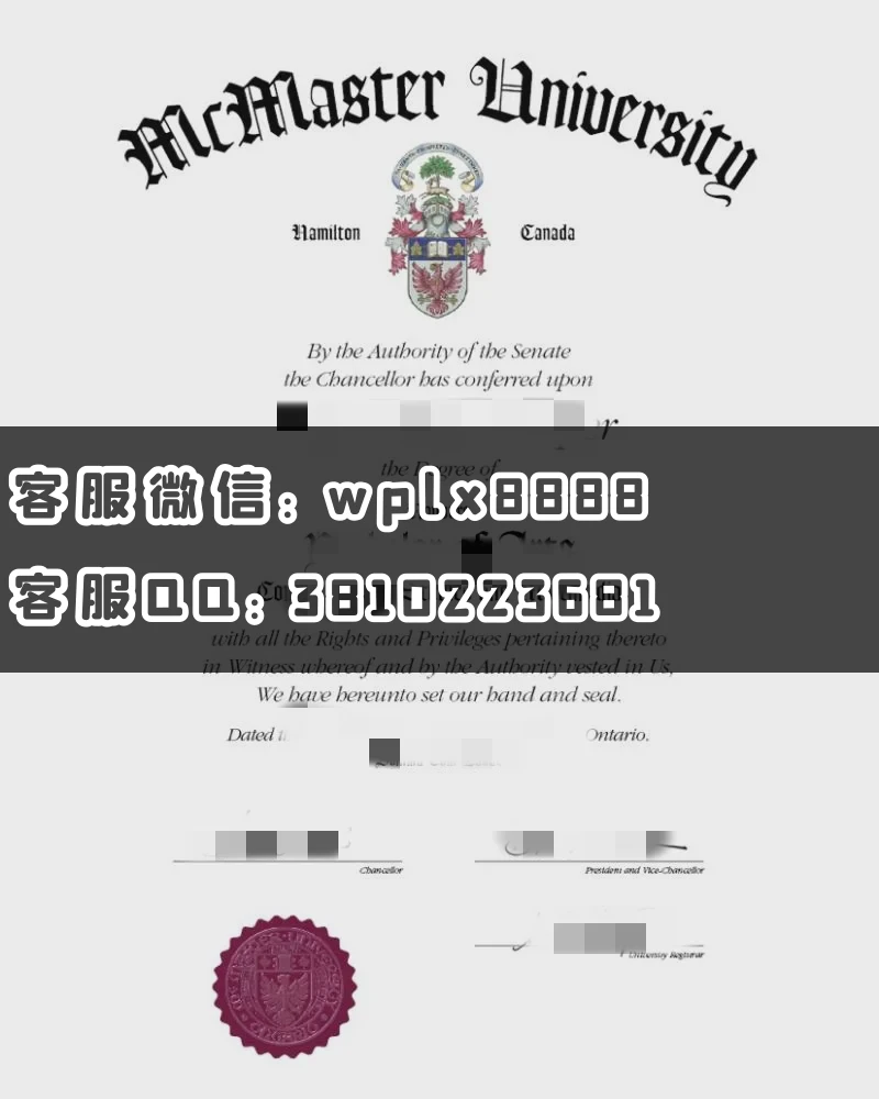 麦克马斯特大学毕业证