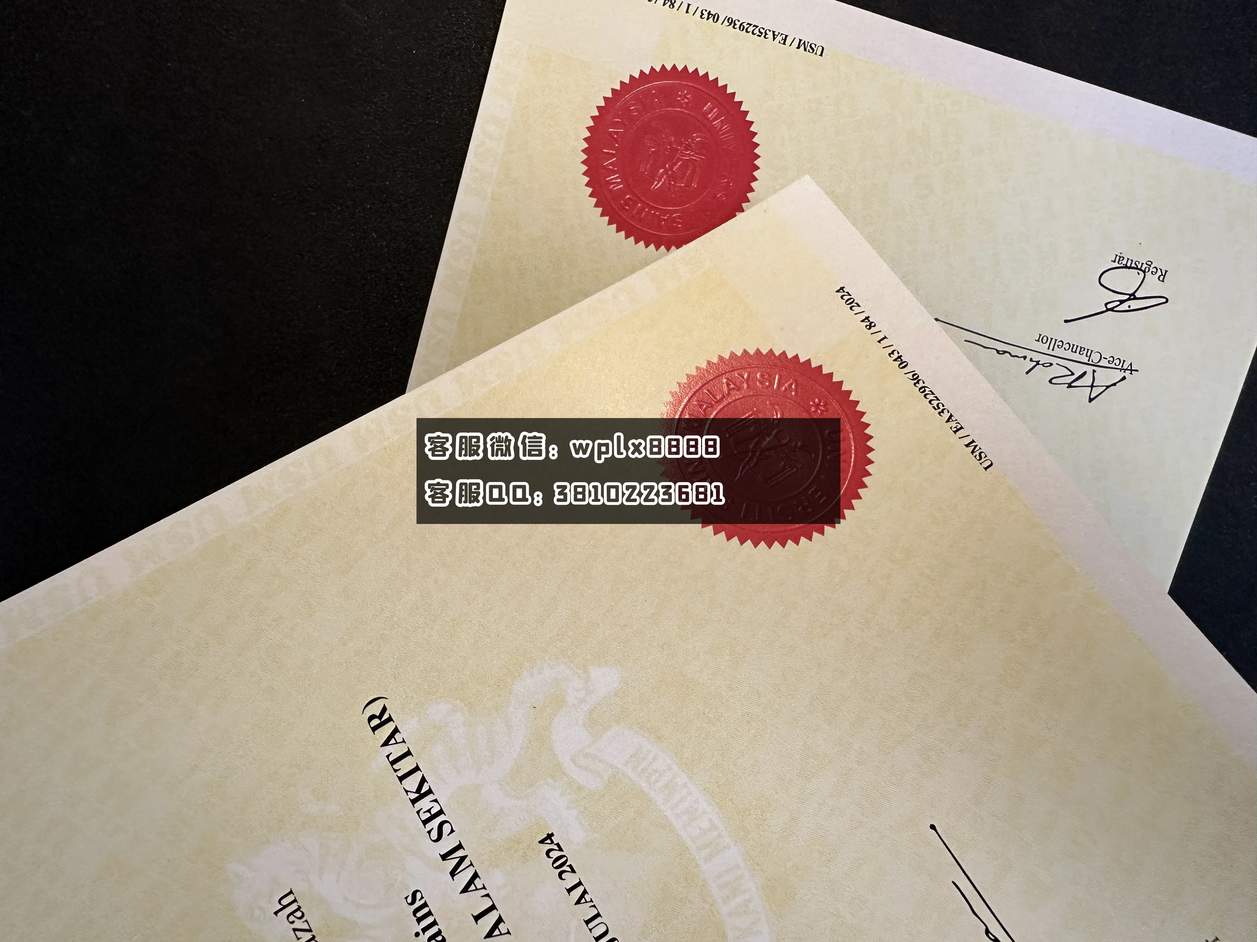 马来西亚理科大学11