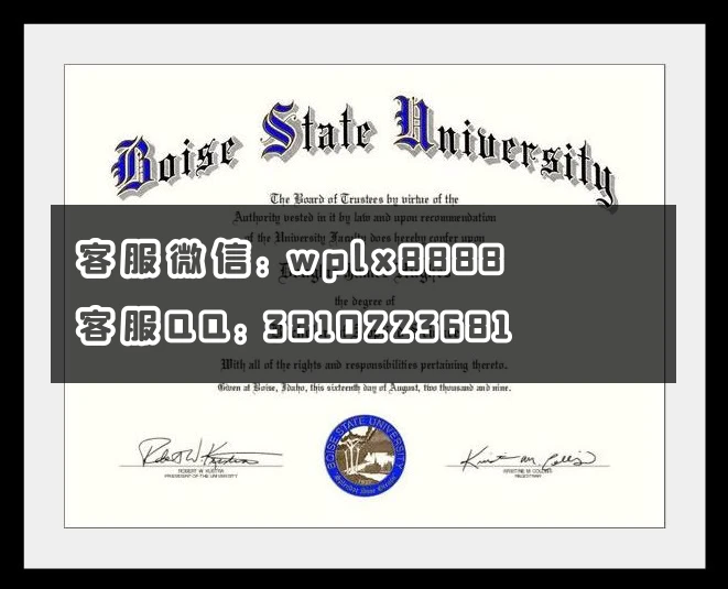 博伊西州立大学(Boise State University 