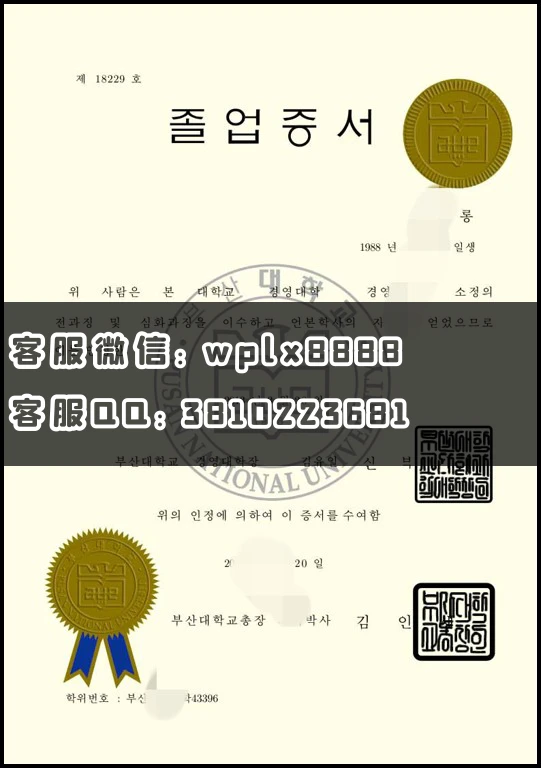 釜山国立大学毕业证_副本 - 副本