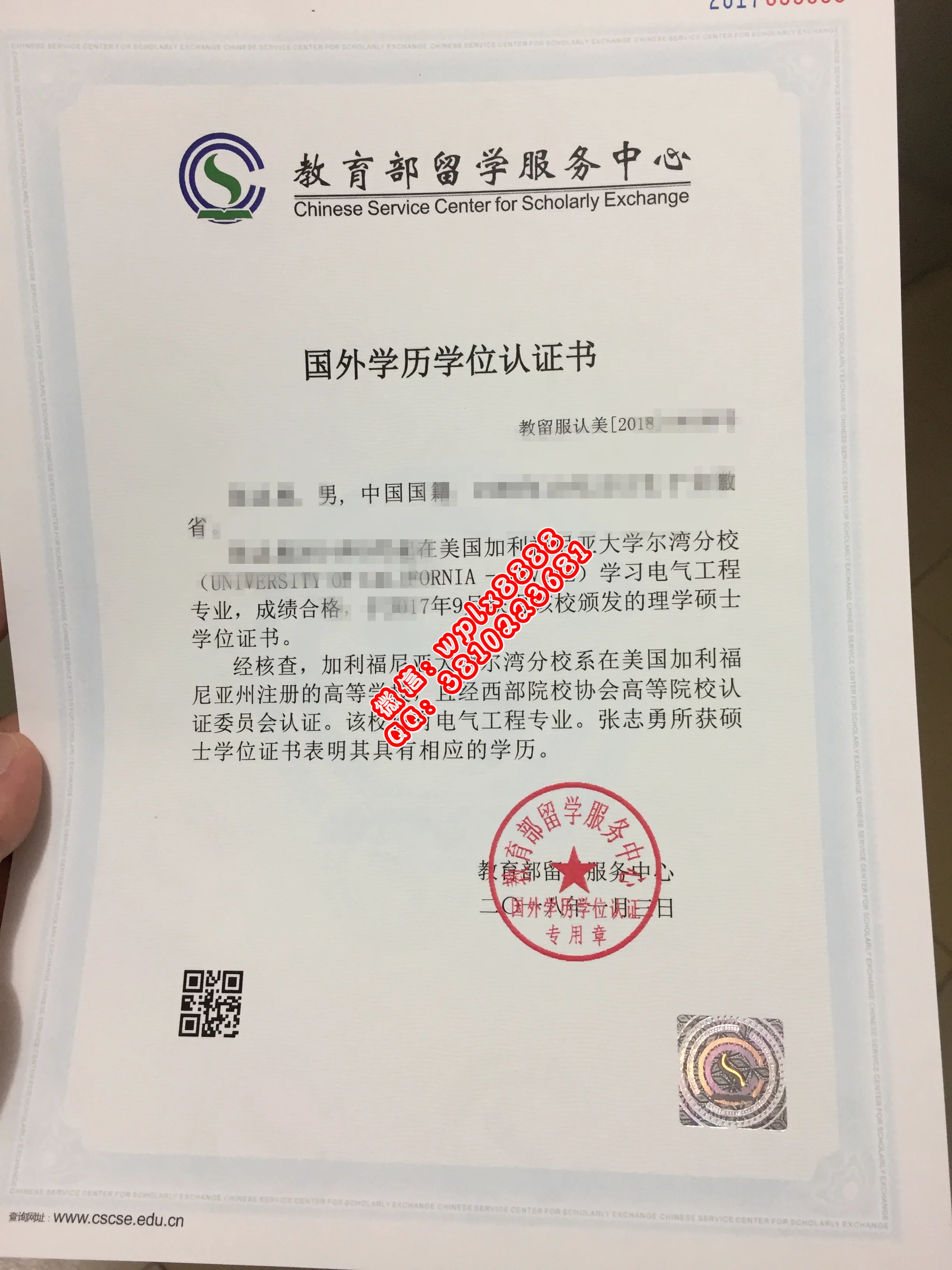 无毕业证样本成绩单模板