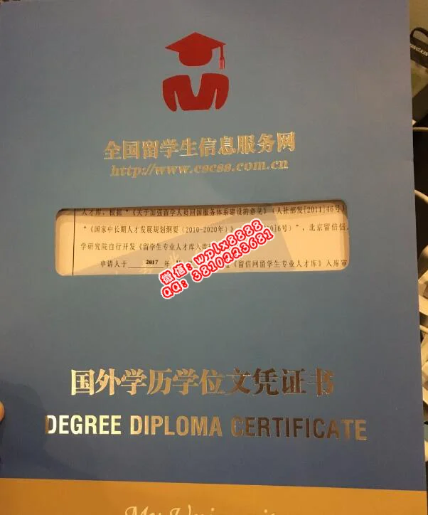 无毕业证样本成绩单模板