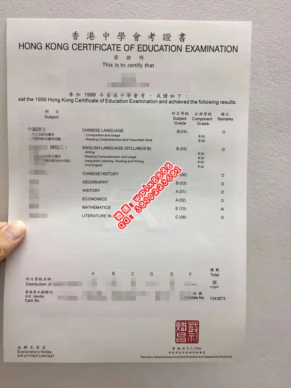 無毕业证样本成绩单模板