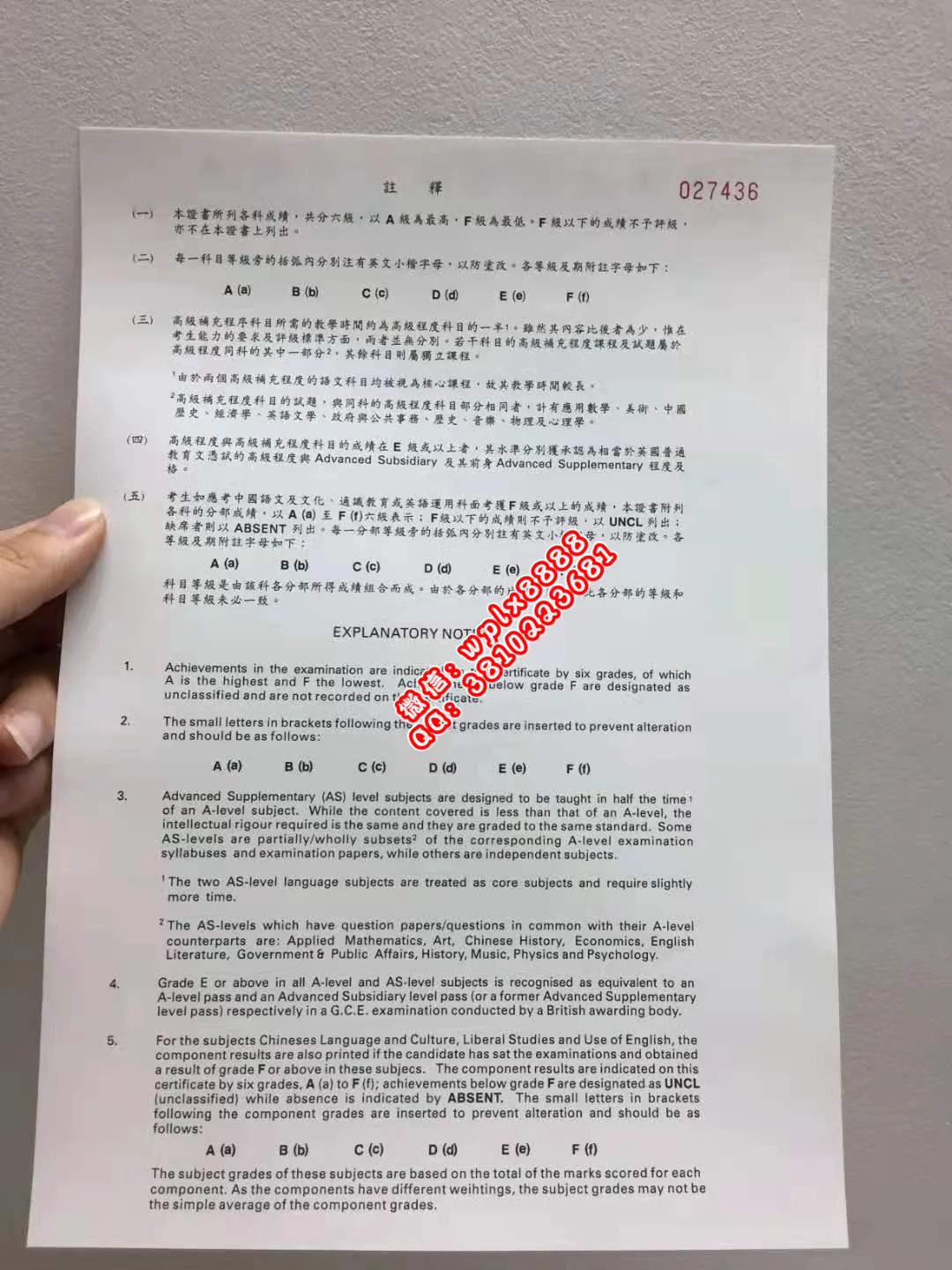 無毕业证样本成绩单模板