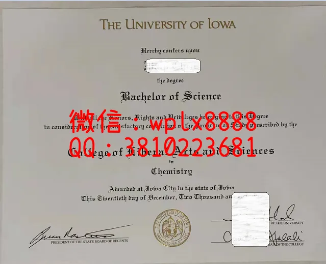 爱荷华大学毕业证