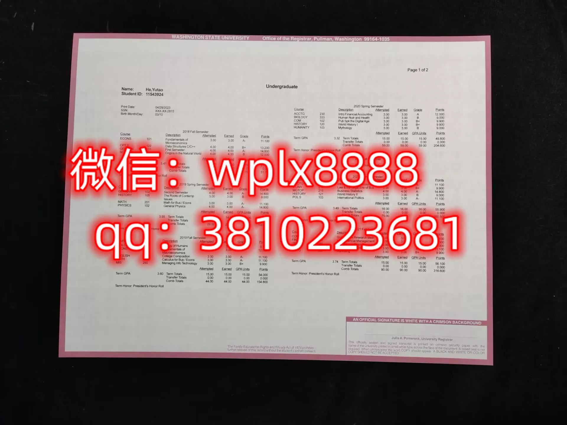 华盛顿州立大学