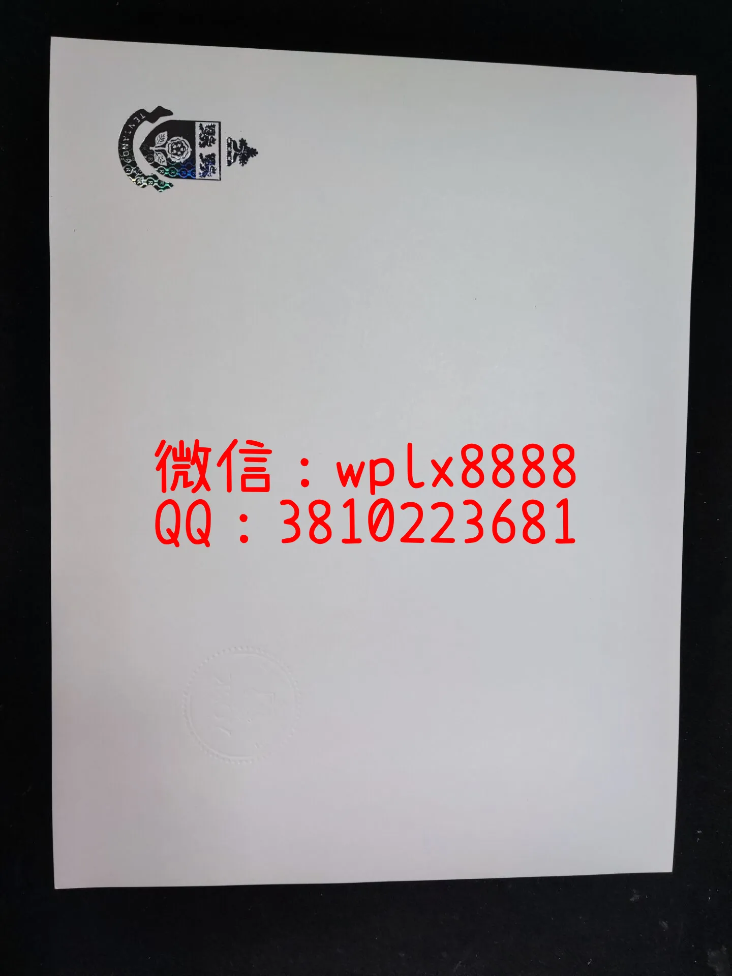 约克大学-背面镭射