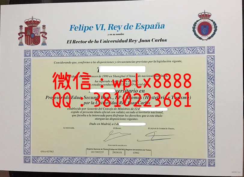 西班牙胡安卡洛斯国王