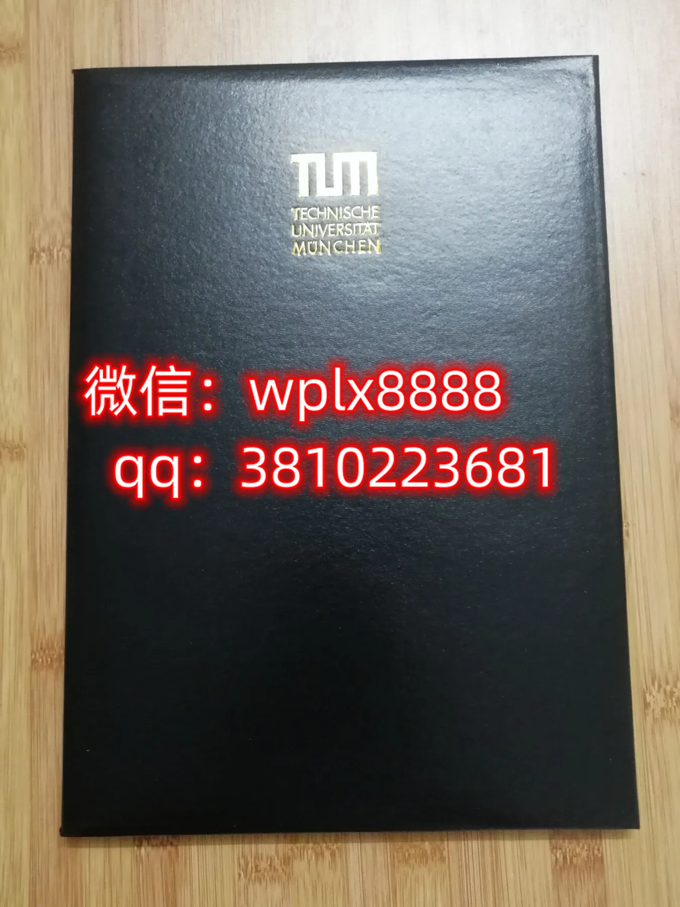 慕尼黑工业大学