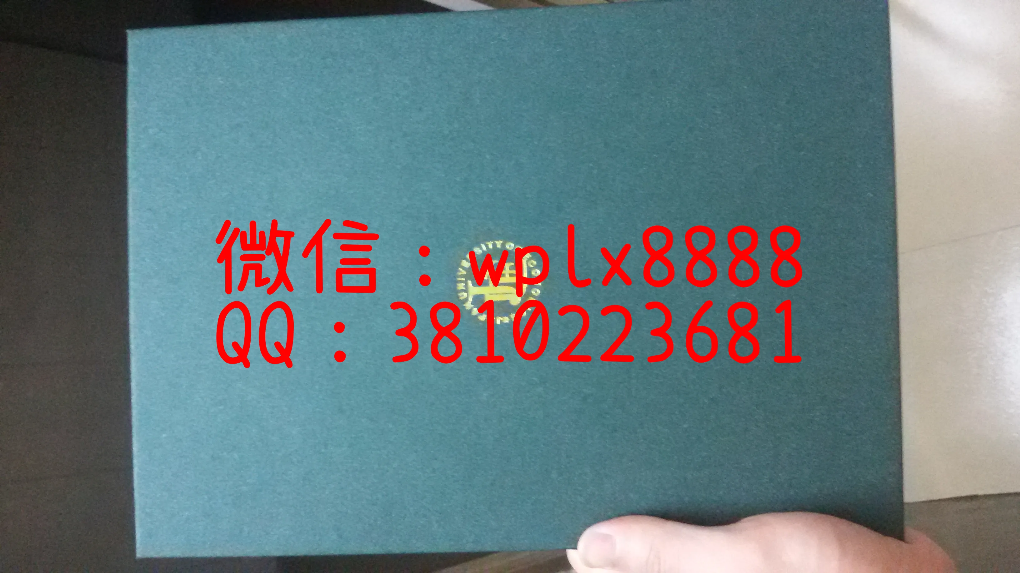 日本经济大学外壳背面