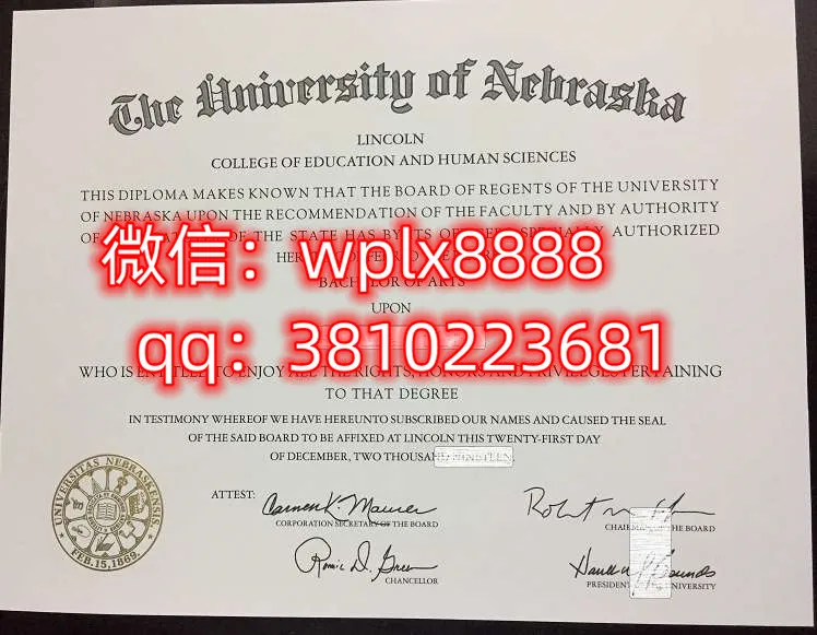 内布拉斯加大学林肯分校