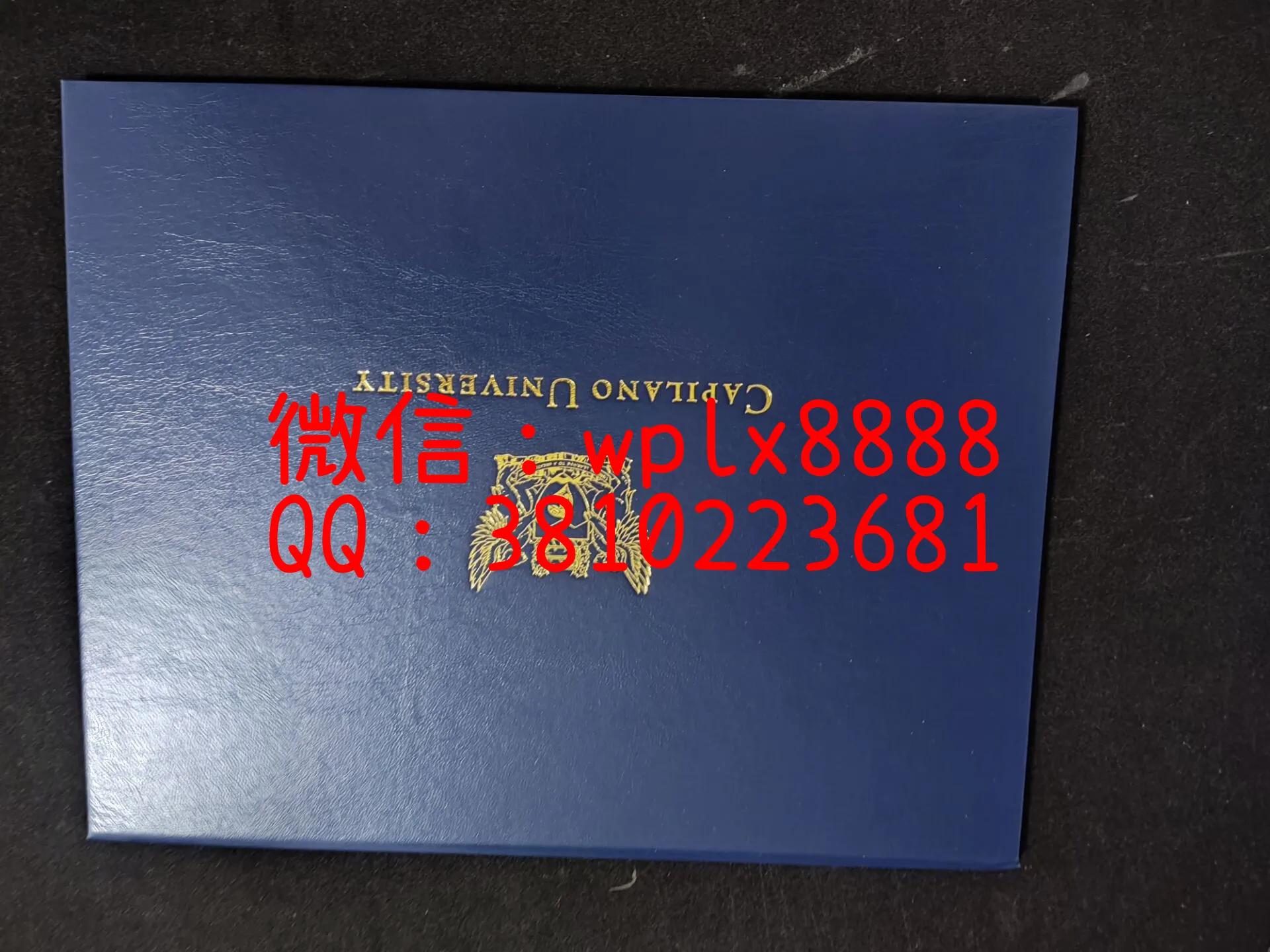 加拿大卡普兰诺大学毕业证-成品-0812