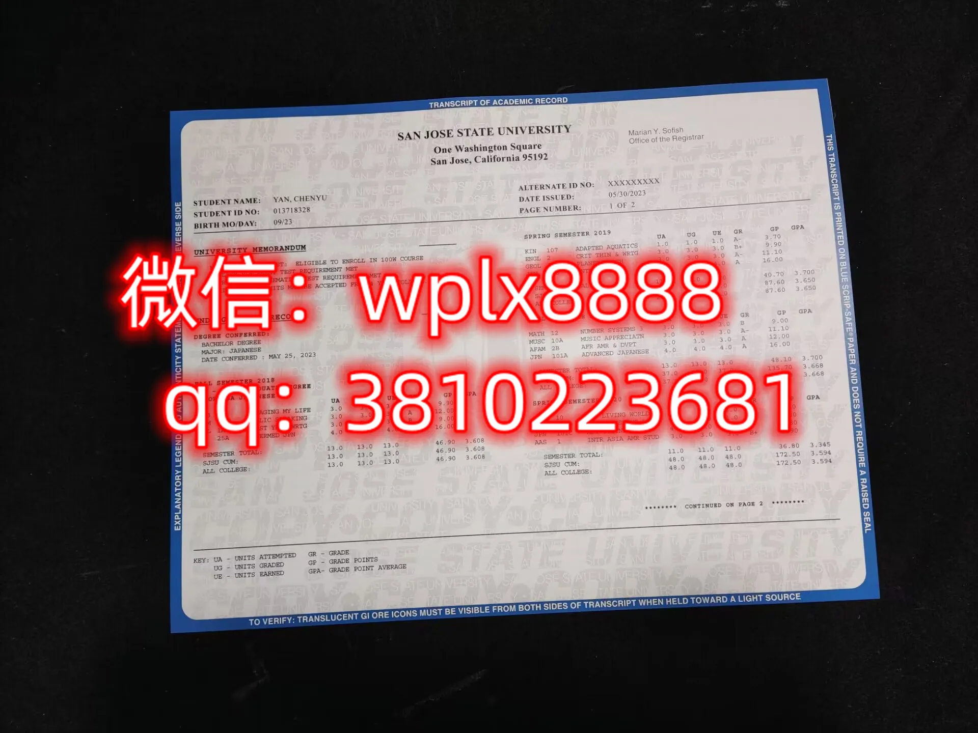 圣何塞州立大学