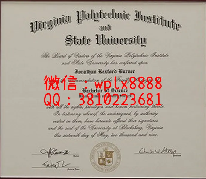 美国弗吉尼亚理工大学1