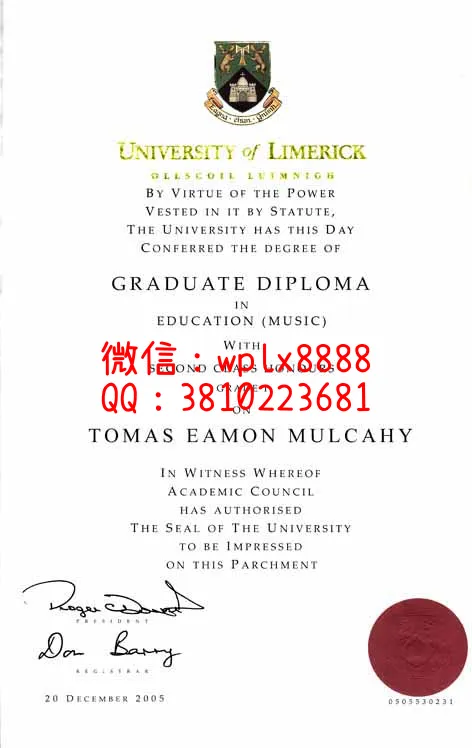 利默瑞克大学University-of-Limerick