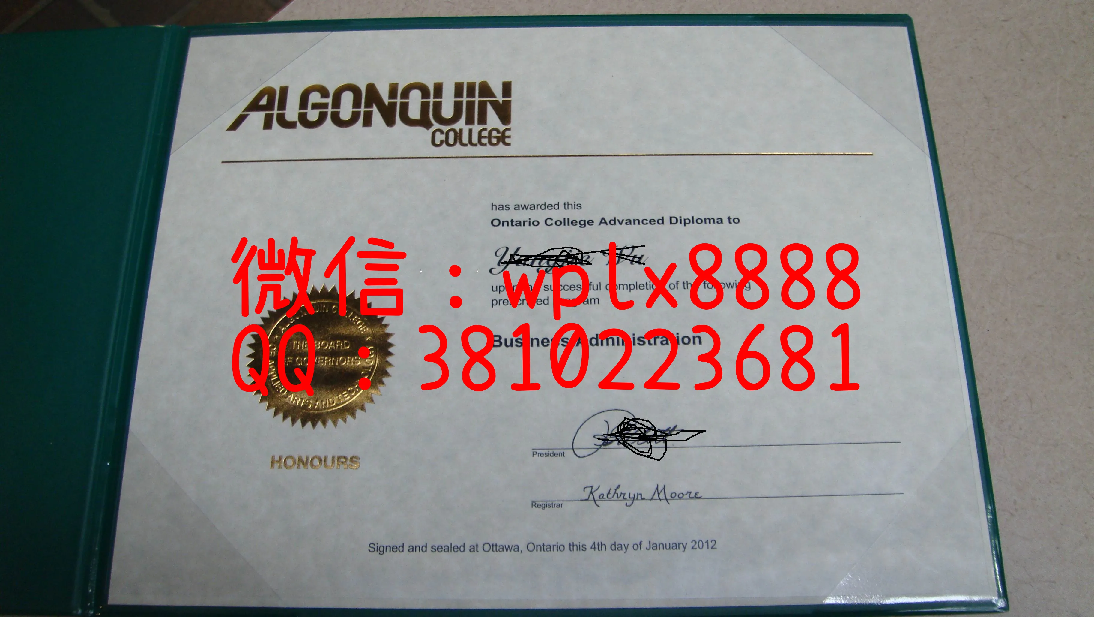 加拿大百年理工大学-(4)