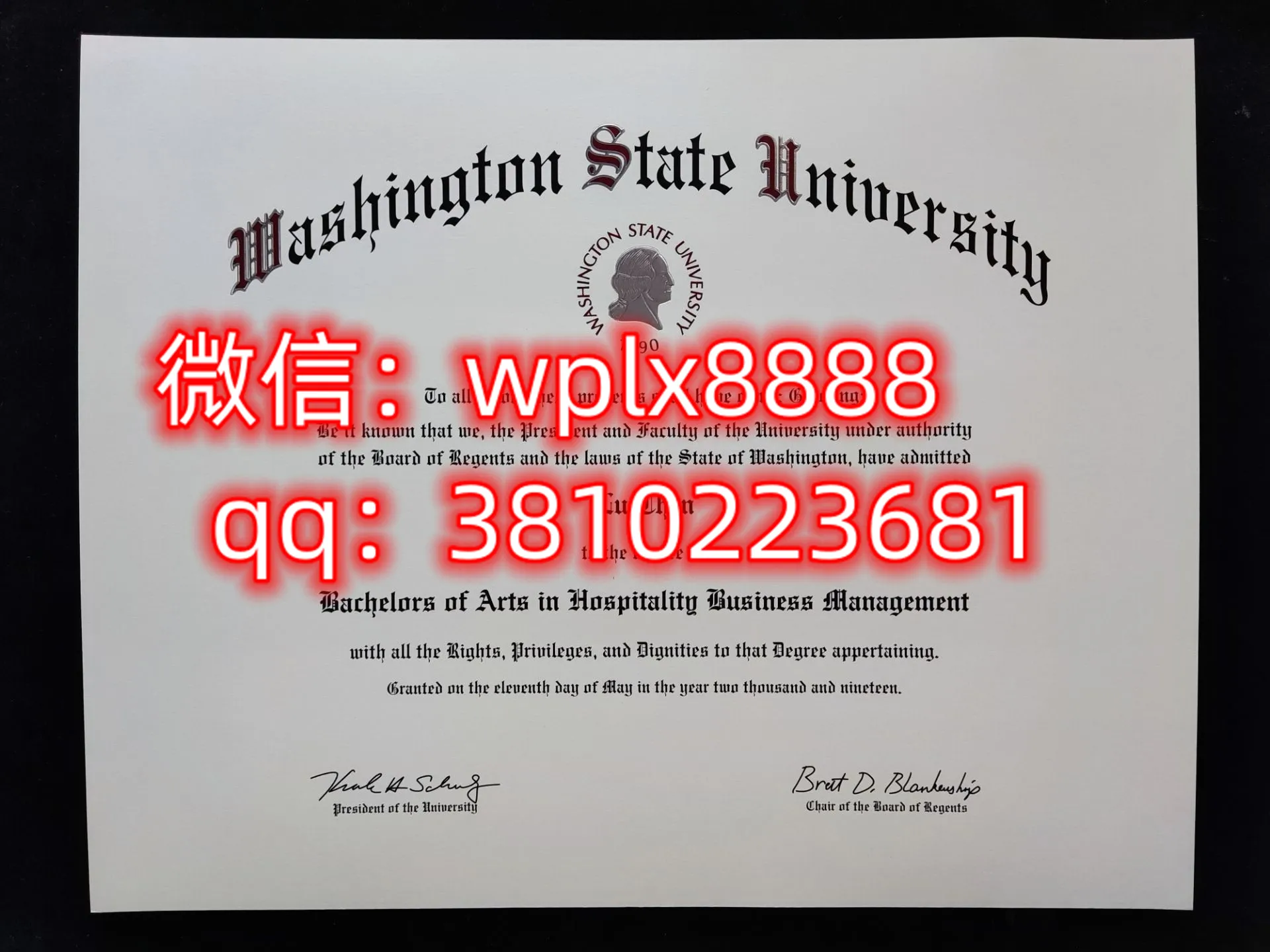 华盛顿州立大学