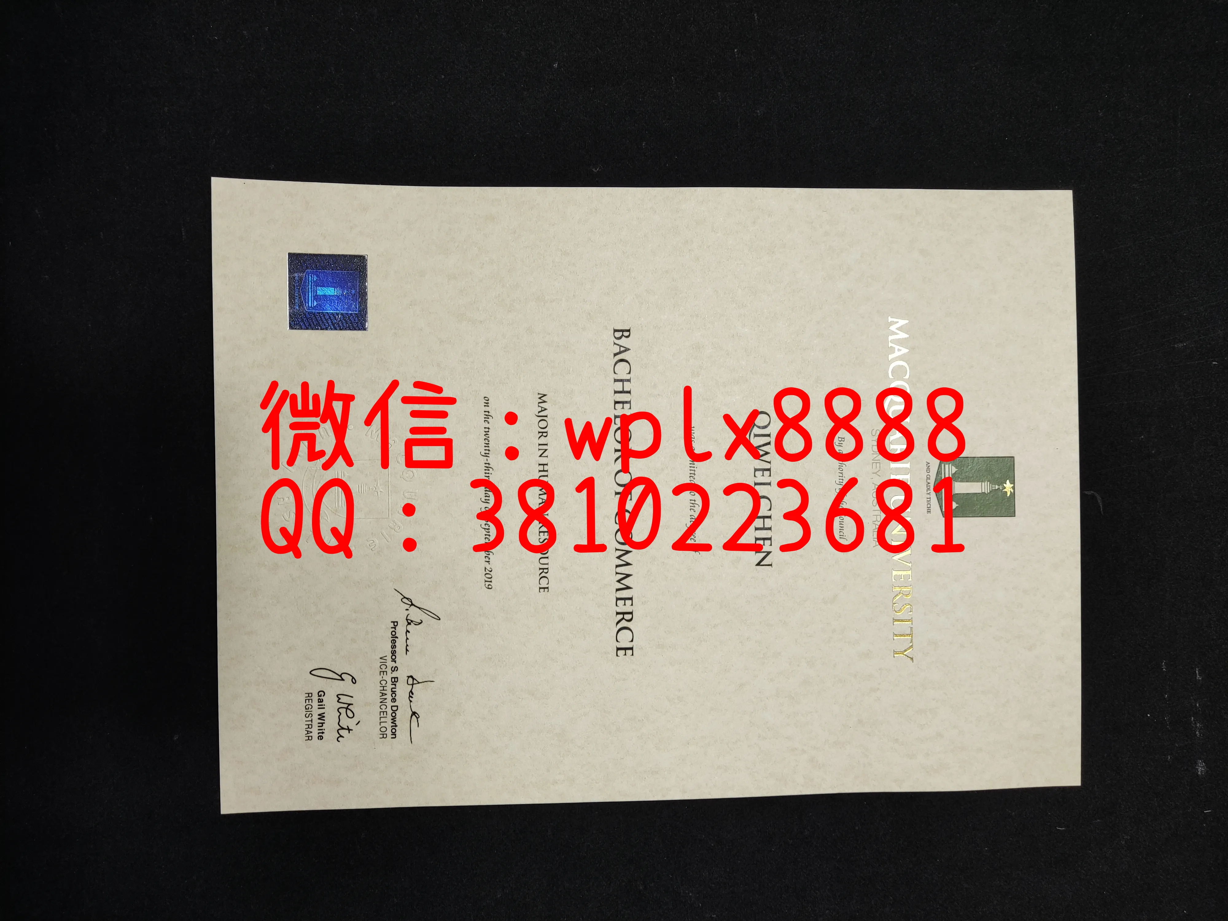 麦考瑞大学毕业证-成品-Christine-Li-C