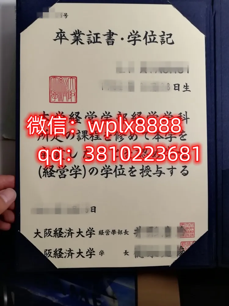 大阪经济大学