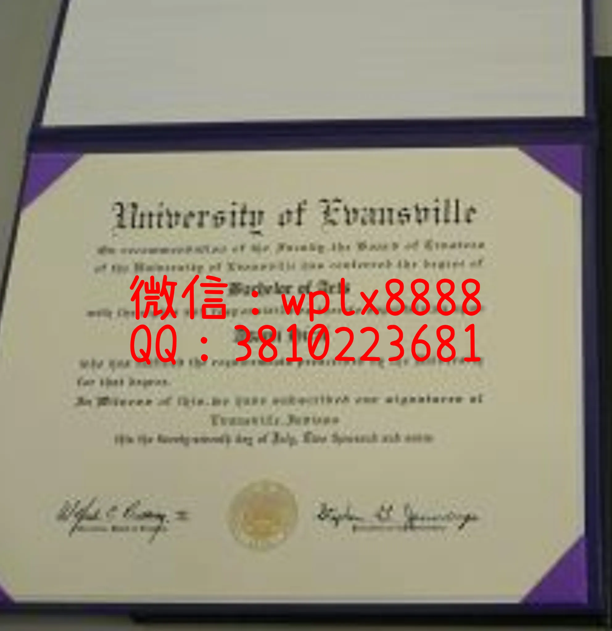 美国维纳斯大学毕业证