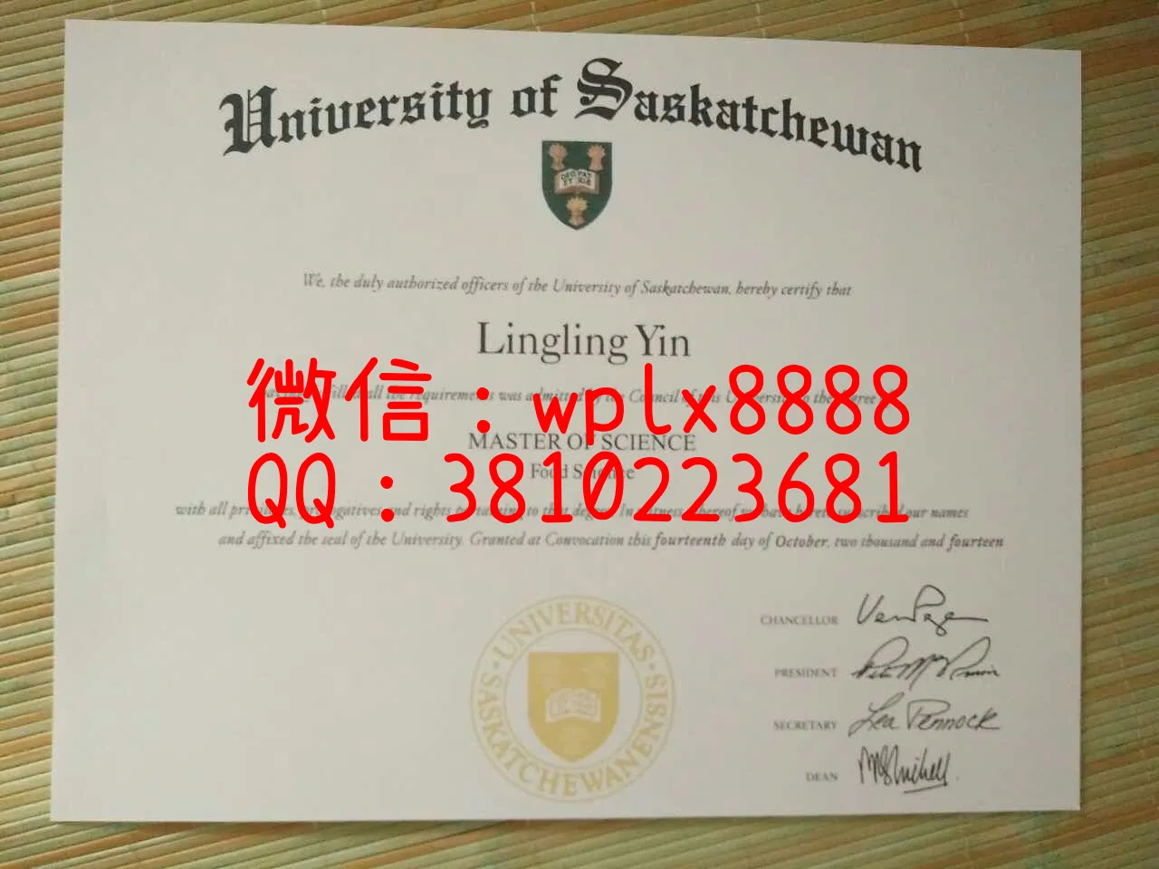 萨斯喀彻温大学