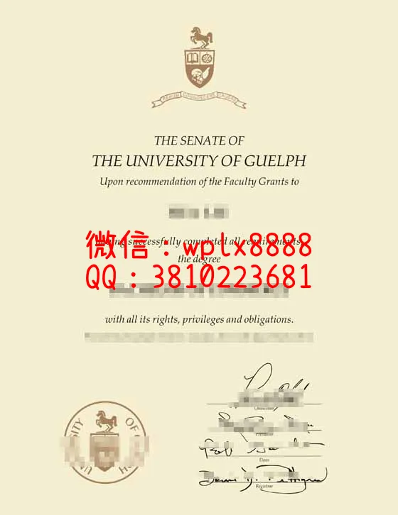 加拿大圭尔夫大学