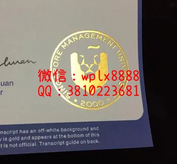 新加坡管理学院成绩单烫金特写