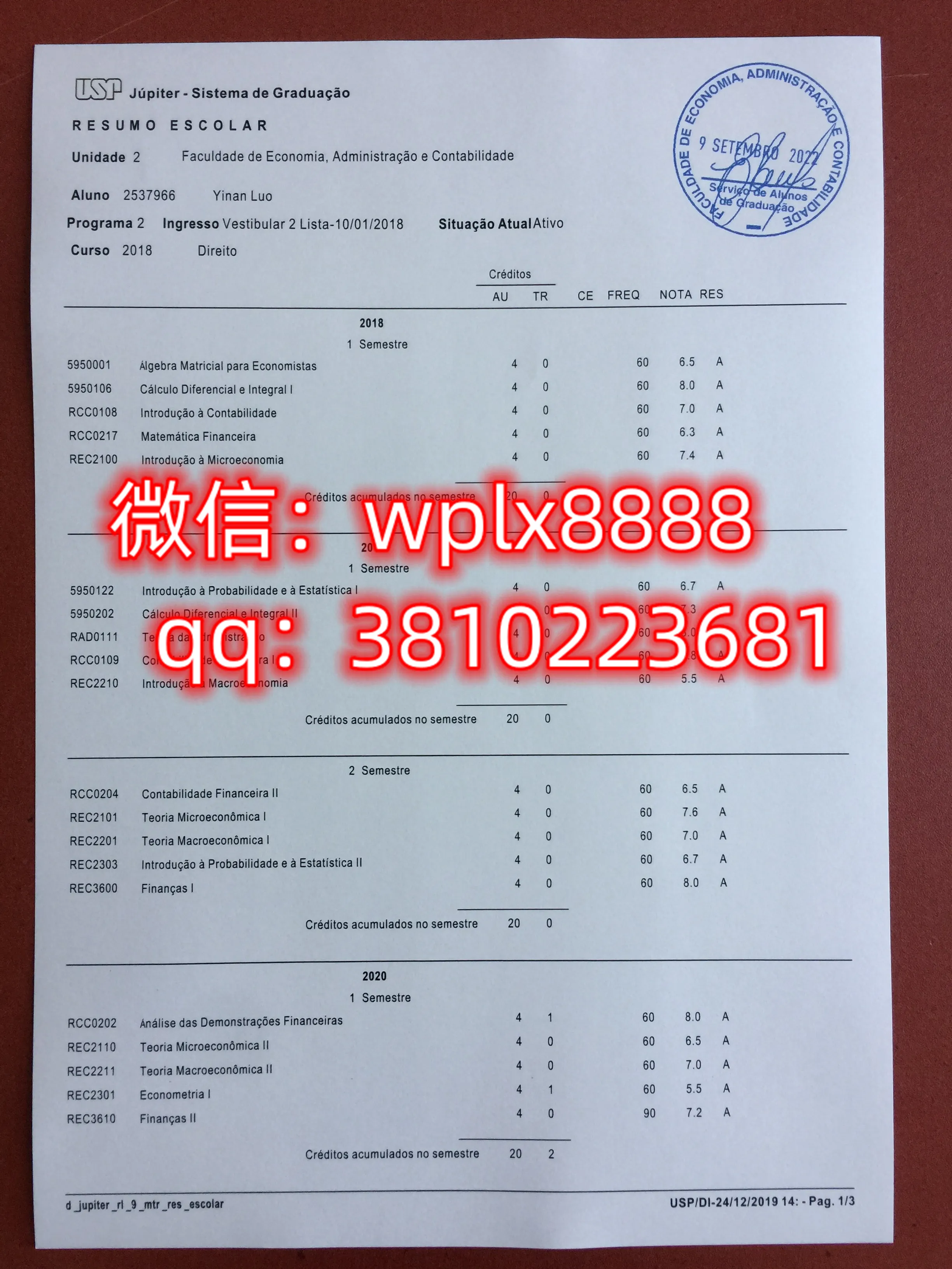 巴西圣保罗大学