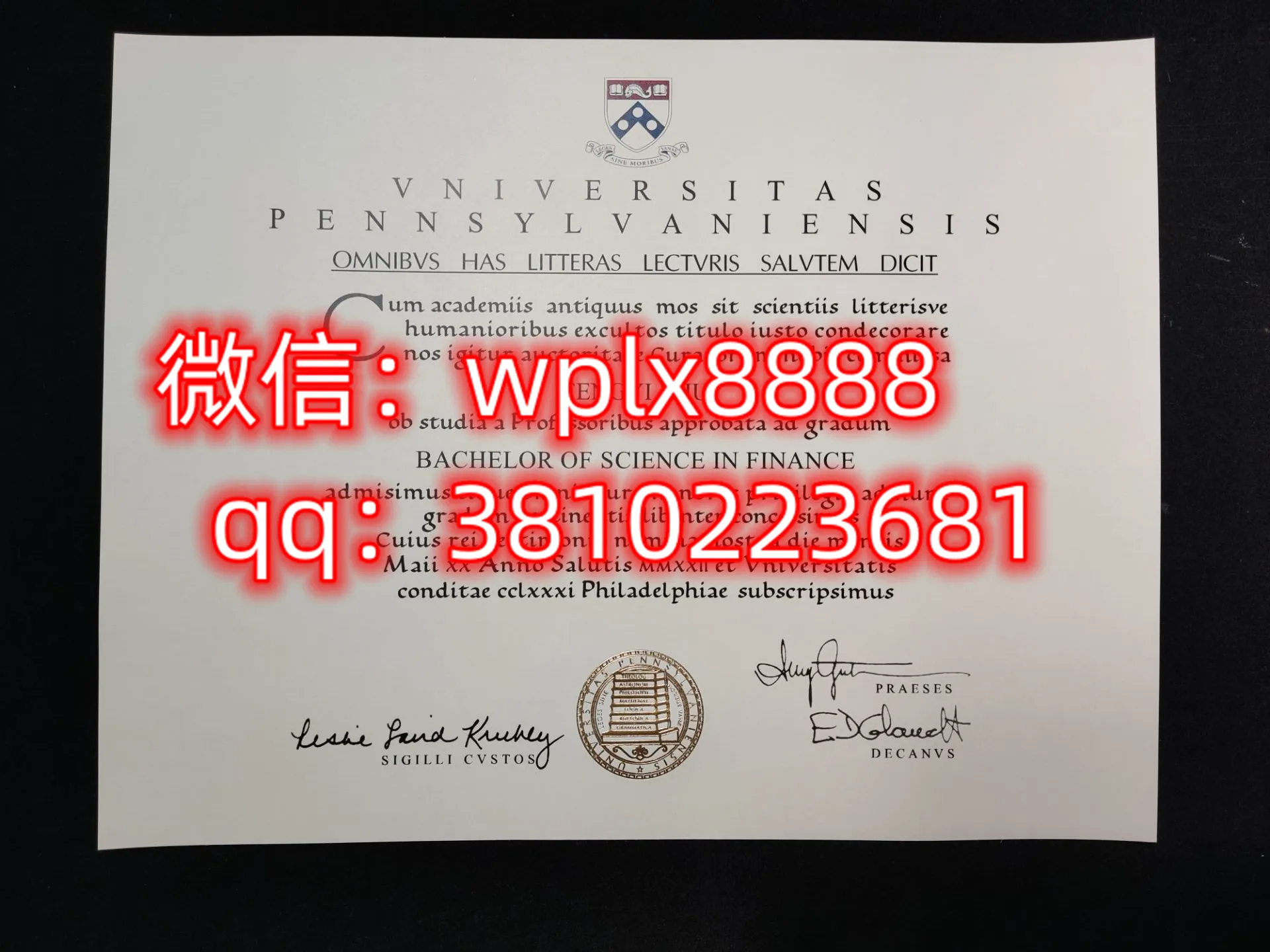 宾夕法尼亚大学