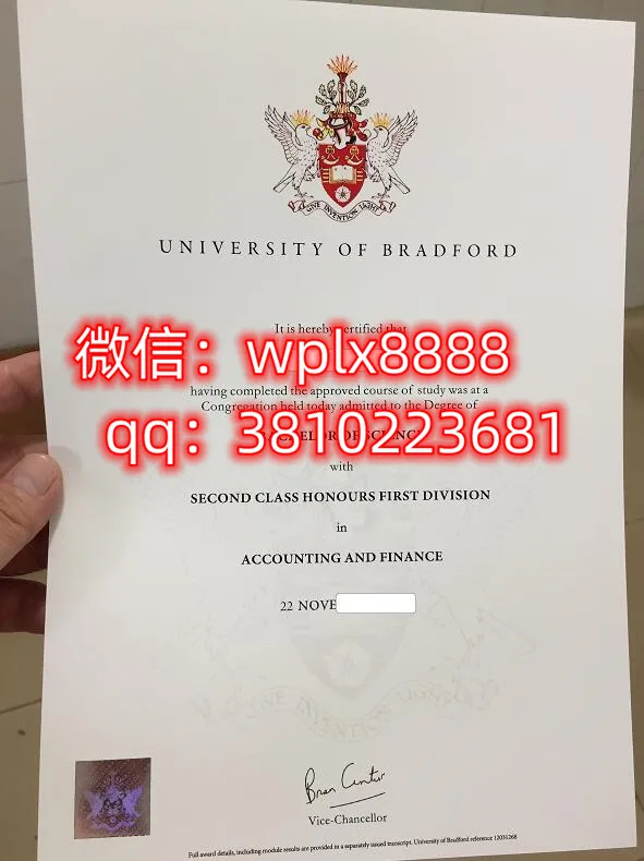 布拉德福德大学