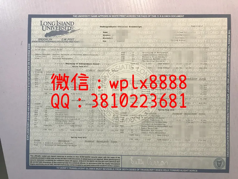 美国长岛大学成绩单1